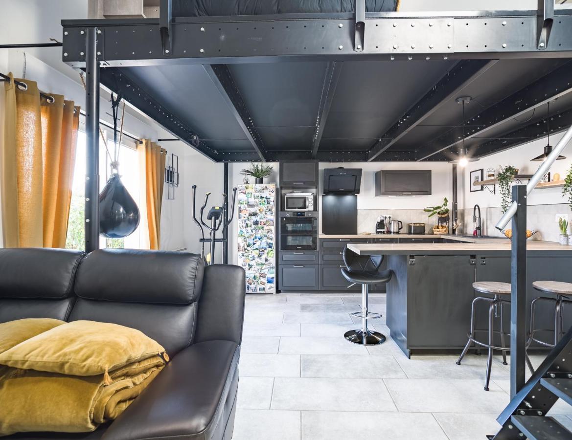 Loft Avec Jardin Et Parking Prive Apartment Троа Екстериор снимка